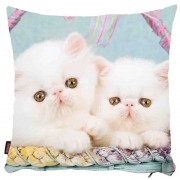 Kedili Yastık Kılıfı-98